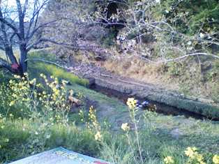 a0196286_1145419.jpg
