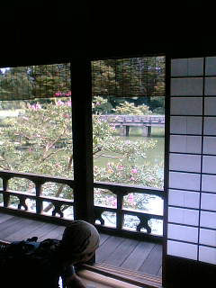a0196286_1327949.jpg
