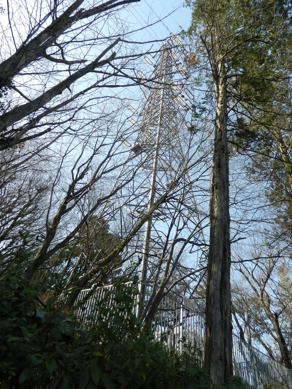 d0224990_16161547.jpg