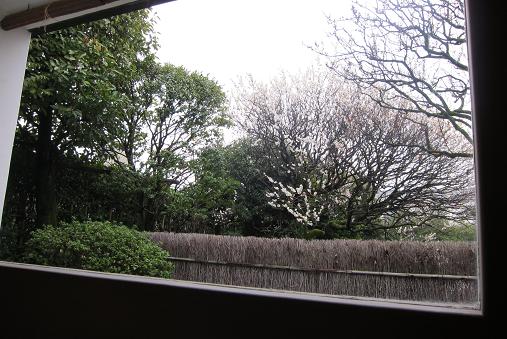 e0164690_17112341.jpg