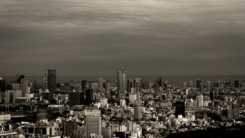 a0185693_5342788.jpg