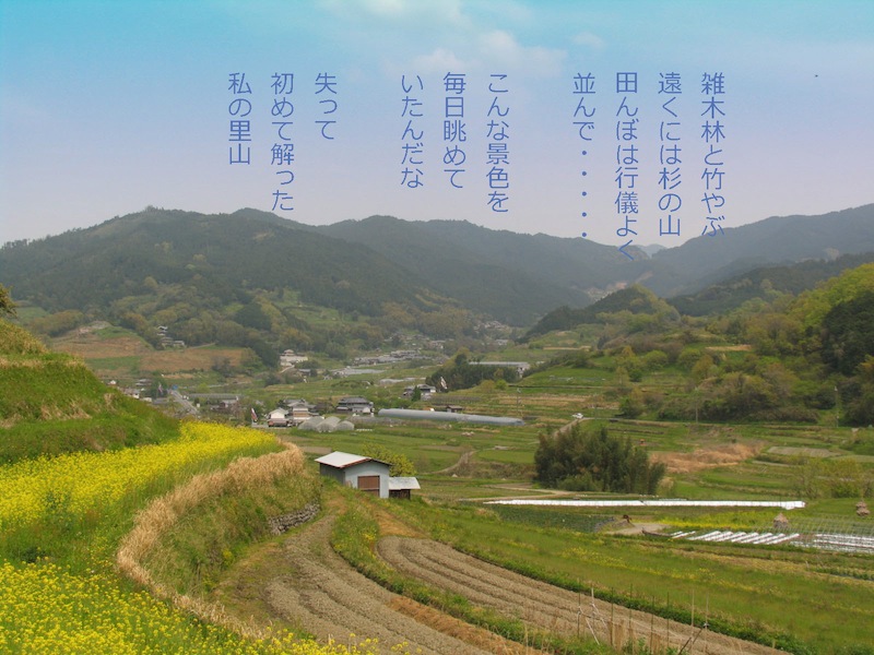 a0207396_1463012.jpg