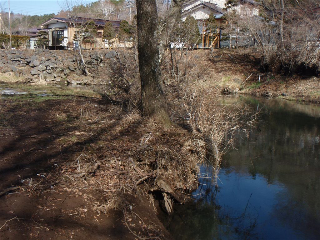 c0177497_159132.jpg