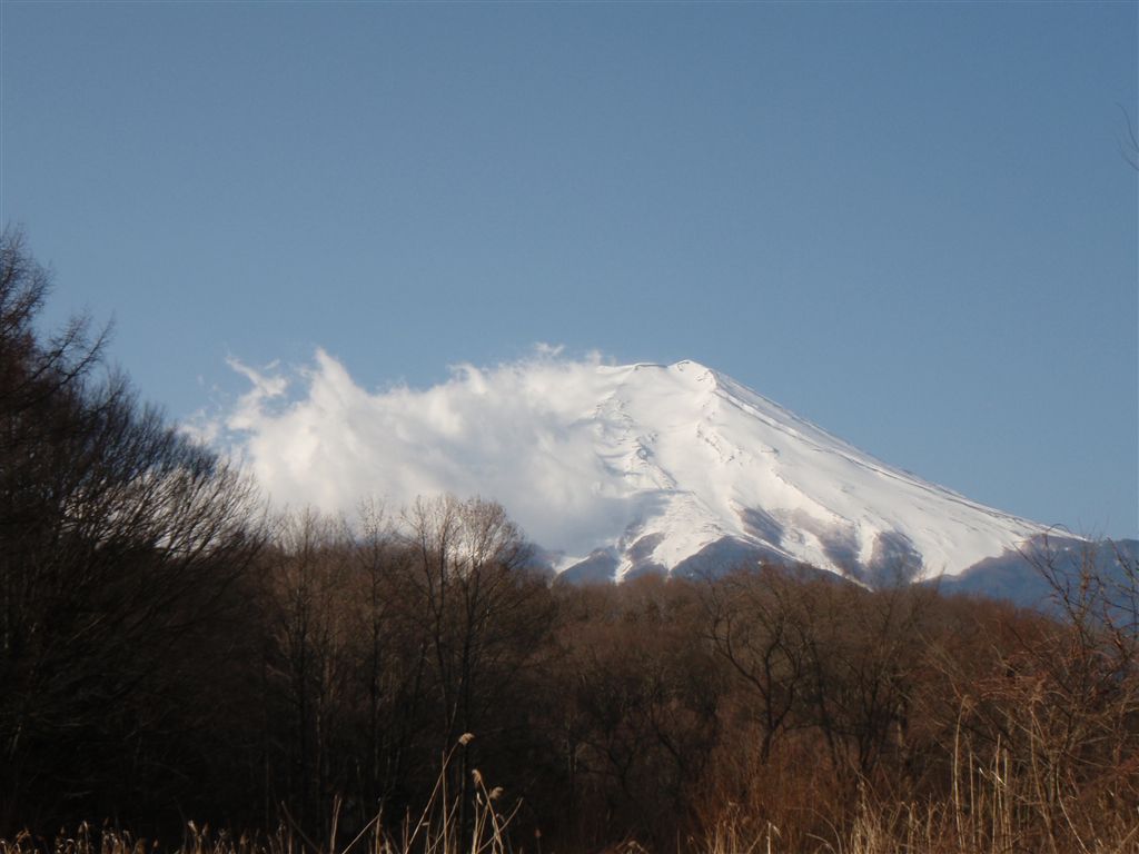 c0177497_159391.jpg