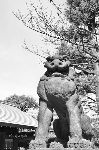 a0161698_19322642.jpg