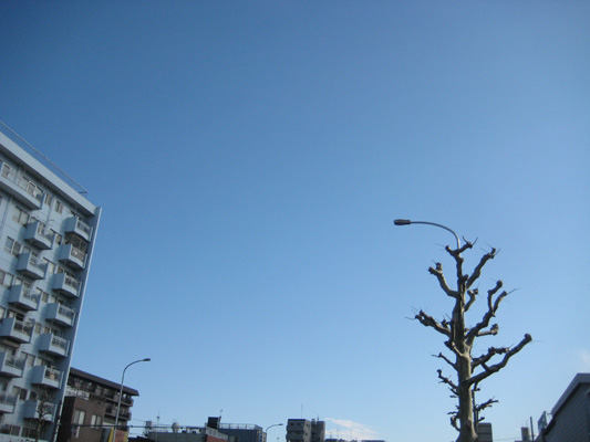 b0097200_2334031.jpg