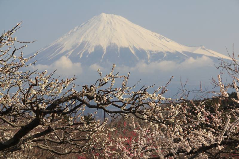 a0188405_7373724.jpg
