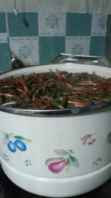 f0231709_9573014.jpg