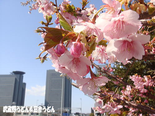 c0113312_13103782.jpg