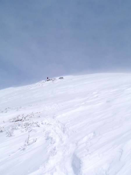 c0177814_18145745.jpg