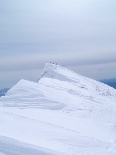 c0177814_18151970.jpg