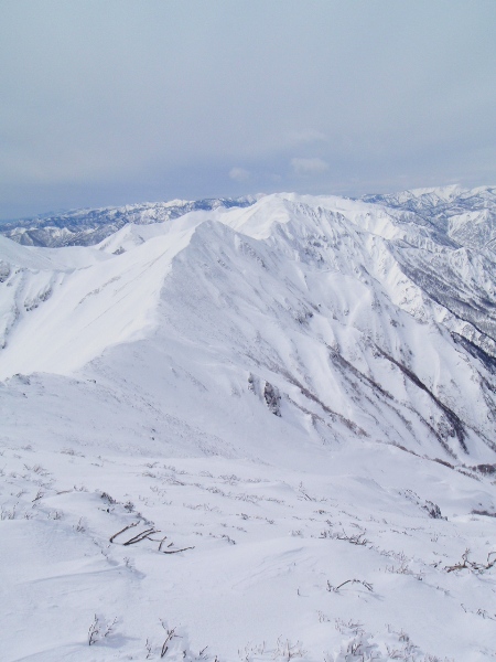 c0177814_18154375.jpg