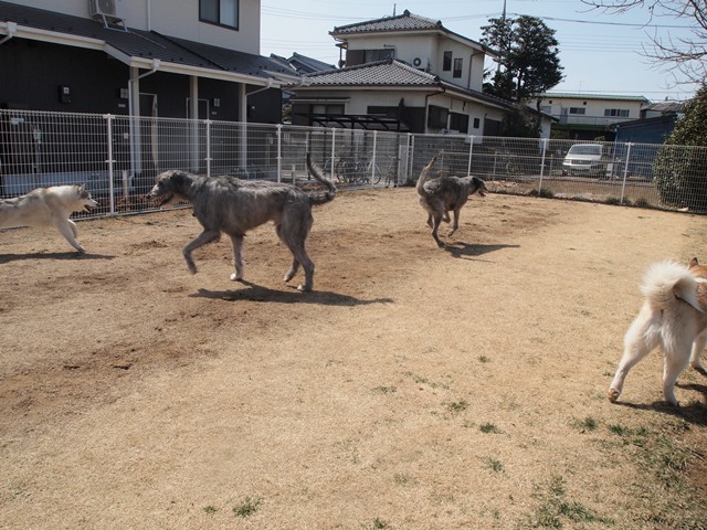 b0207615_22461121.jpg