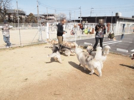 b0207615_22481014.gif