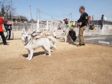 b0207615_2248278.gif
