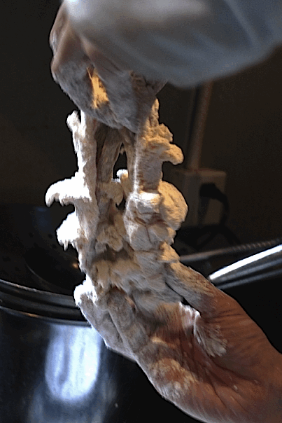 e0157816_9283331.gif