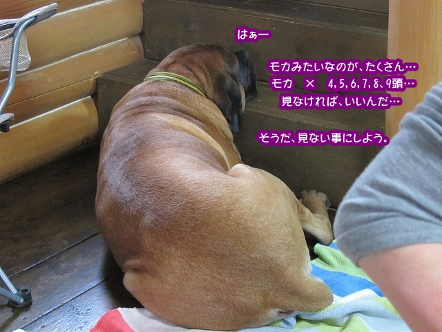 e0192217_1019185.jpg