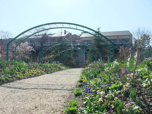 e0135518_1715422.jpg
