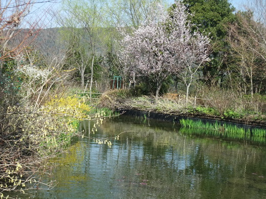 e0135518_17172090.jpg