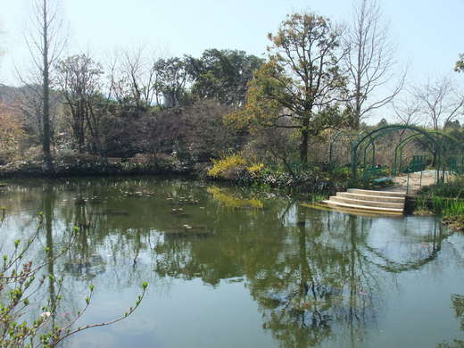 e0135518_1717218.jpg