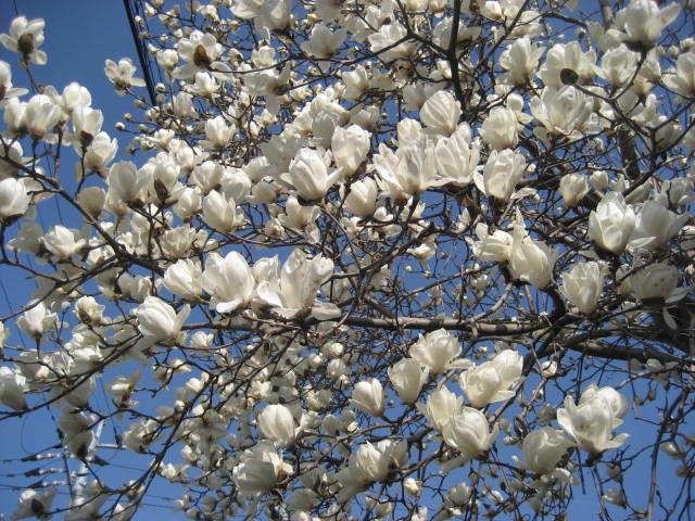 f0139520_22351073.jpg