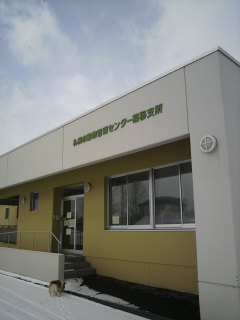a0167322_14491215.jpg
