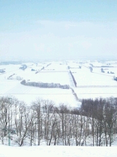 f0181524_1563531.jpg