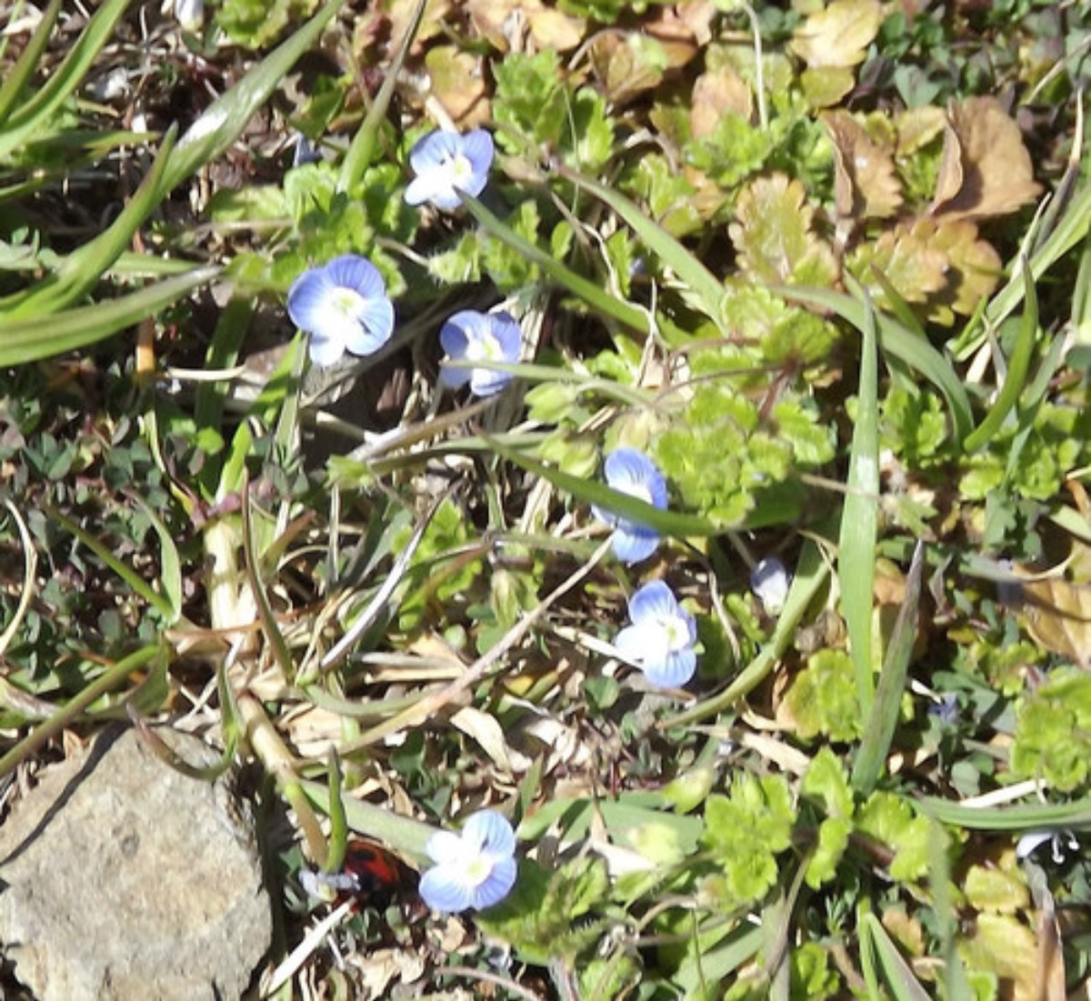 e0033229_211158100.jpg