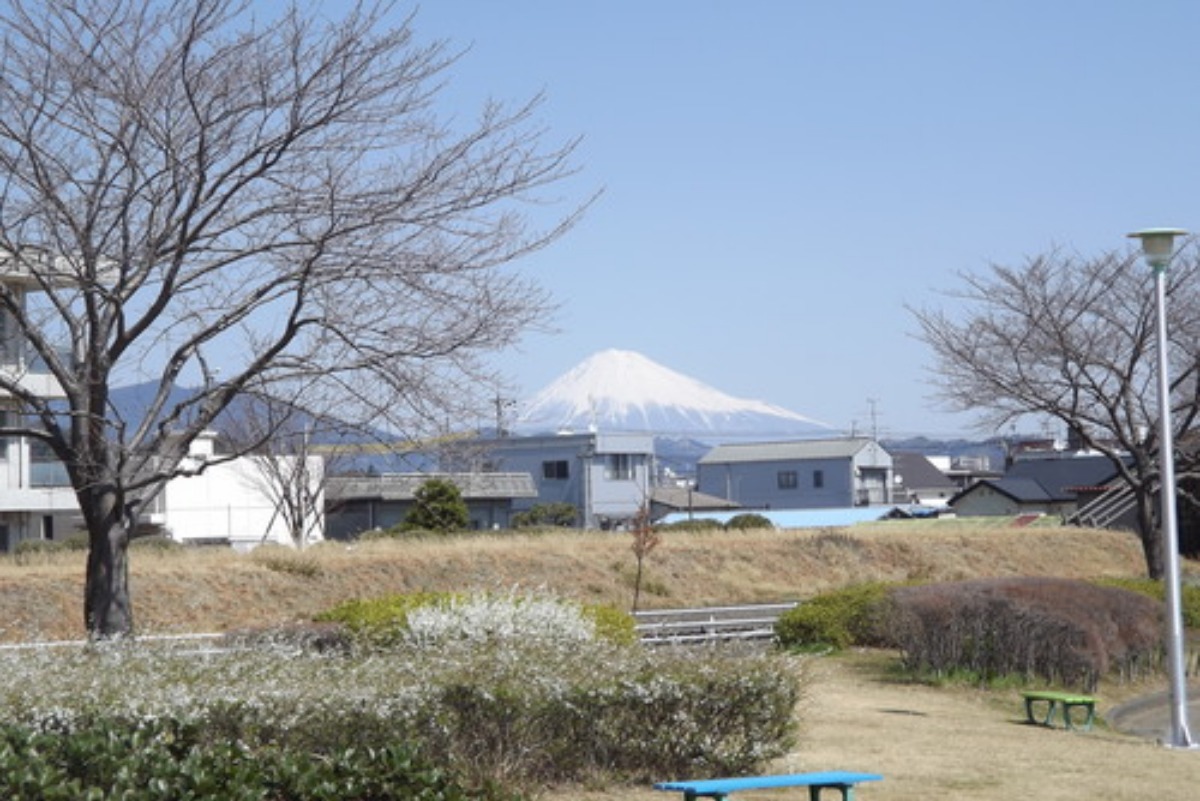 e0033229_21405248.jpg