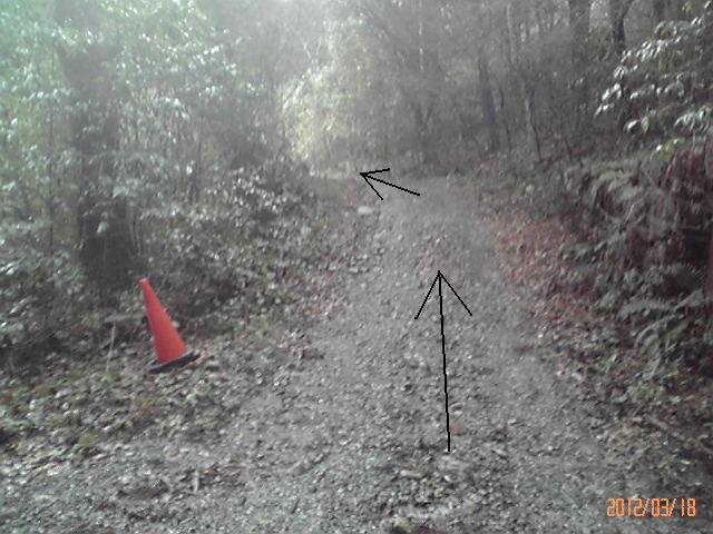 b0222530_16112515.jpg