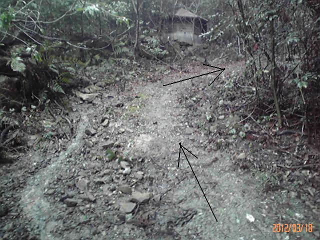 b0222530_1611851.jpg