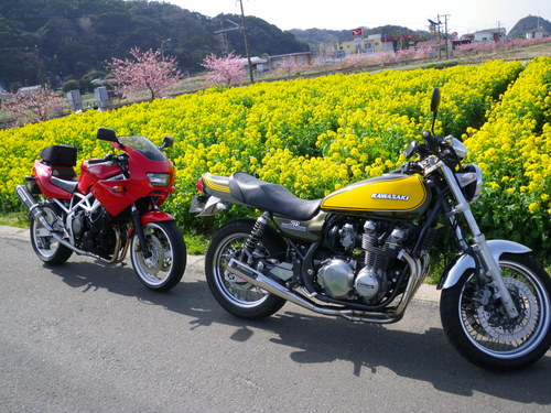 a0242931_241080.jpg