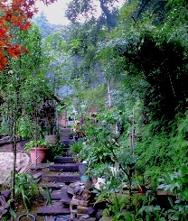 b0206534_22263567.jpg