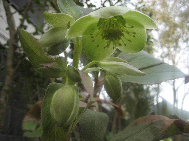 b0166435_17402819.jpg