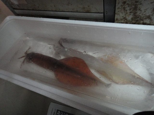 f0208737_85589.jpg