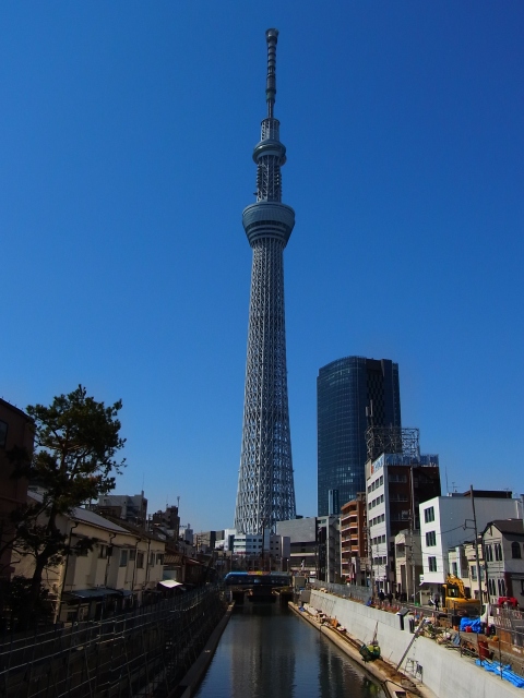 a0087341_1653222.jpg