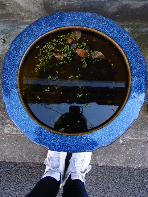 a0087341_1715660.jpg