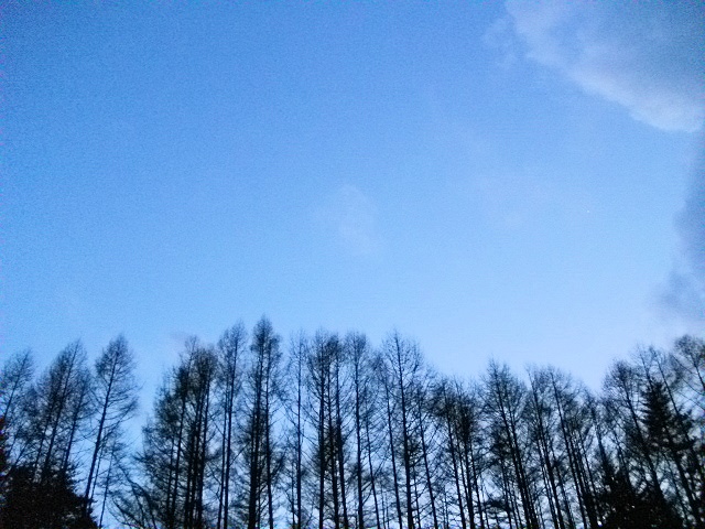 d0194741_21403837.jpg
