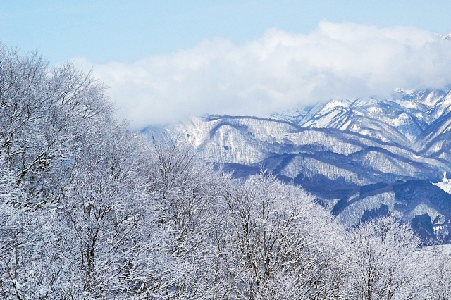 b0122448_19132211.jpg