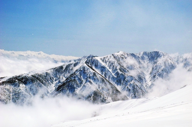 b0122448_1983416.jpg