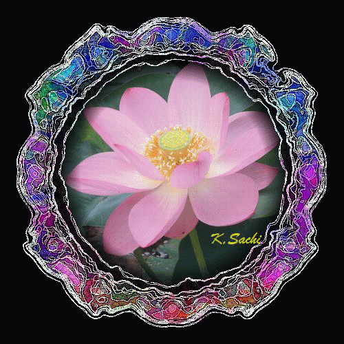 b0133752_16484075.gif