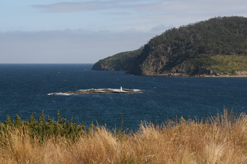 f0137354_1984164.jpg