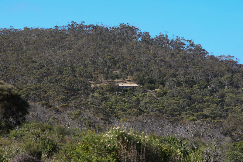 f0137354_199044.jpg