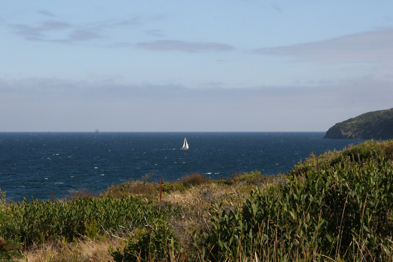 f0137354_1992074.jpg