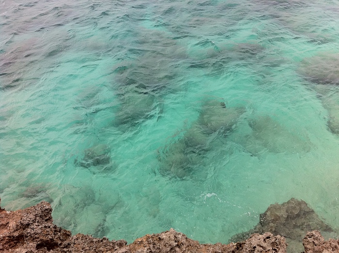 b0002156_11494574.jpg