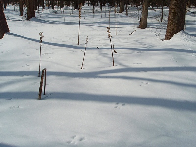 e0004756_2044282.jpg