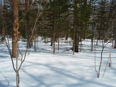 e0004756_2046142.jpg