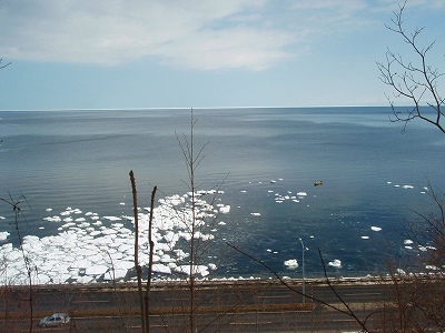 e0004756_20563361.jpg
