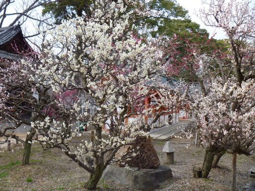 d0231858_718247.jpg