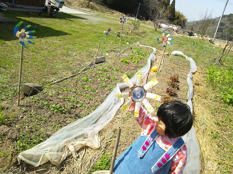 a0163259_174310.jpg